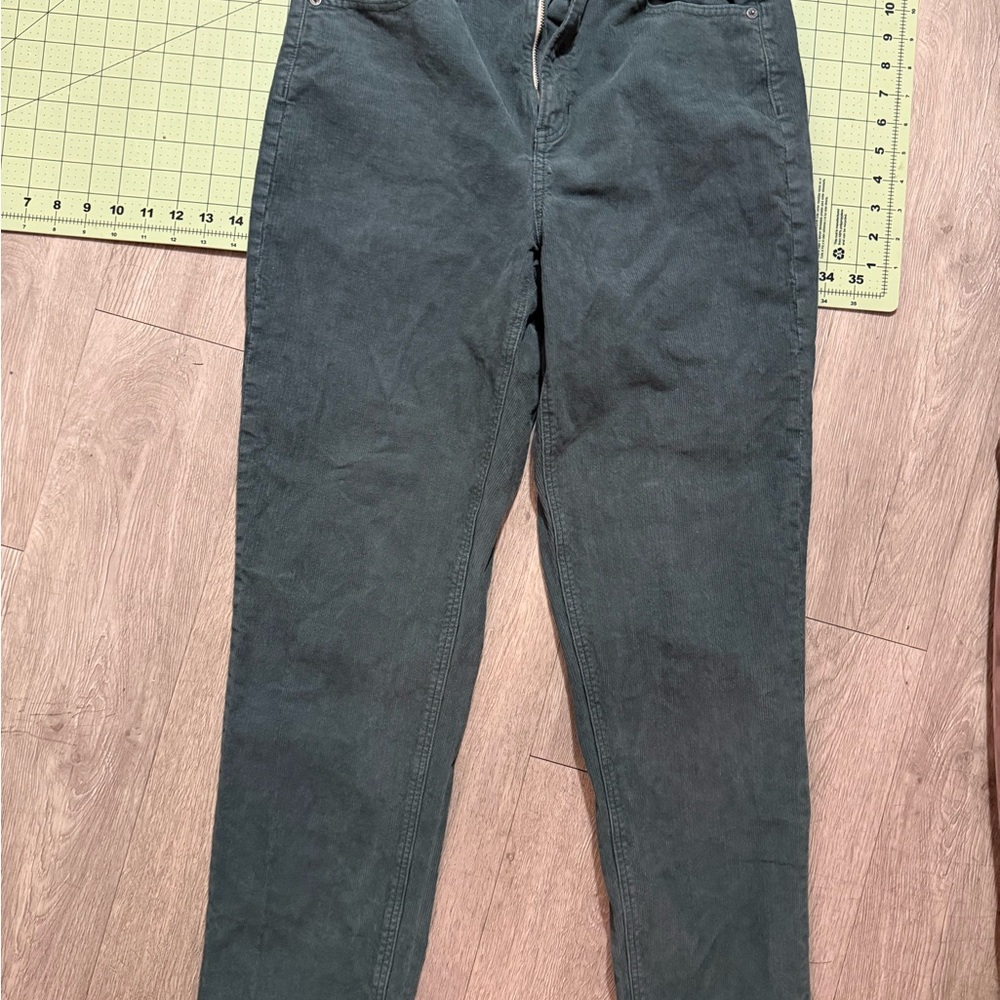 American Eagle Outfitters women’s green blue Corduroy Pants